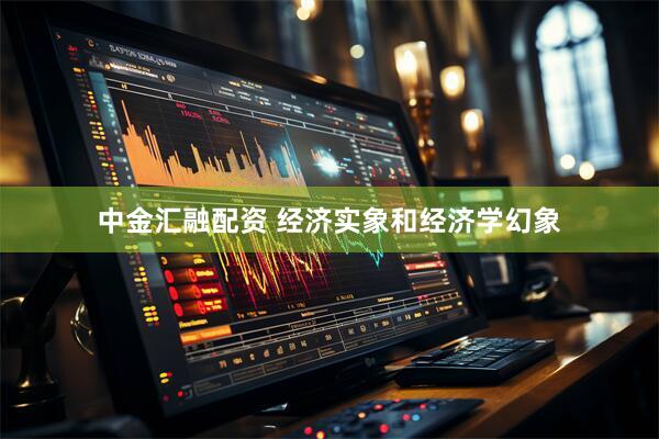 中金汇融配资 经济实象和经济学幻象