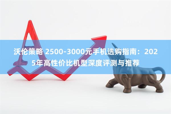 沃伦策略 2500-3000元手机选购指南：2025年高性价比机型深度评测与推荐